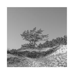 米塔裙底内裤颜色
